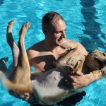 Dogs and swimming pool