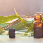 best sauna essential oils review