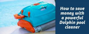 dolphin pool cleaner reviews