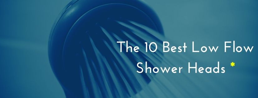 best low flow shower head