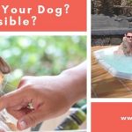 Hot Tub With Your Dog
