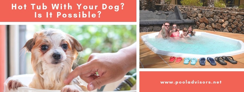 Hot Tub With Your Dog