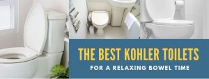 Best Kohler Toilet Reviews