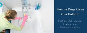 Best Bathtub Cleaner Reviews