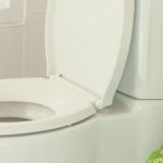 Best Ariel Bath Toilets Reviews