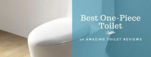 The Best One-Piece Toilet Reviews