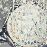 best handheld shower head for low water pressure