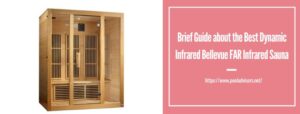 Dynamic Infrared Bellevue FAR Infrared Sauna